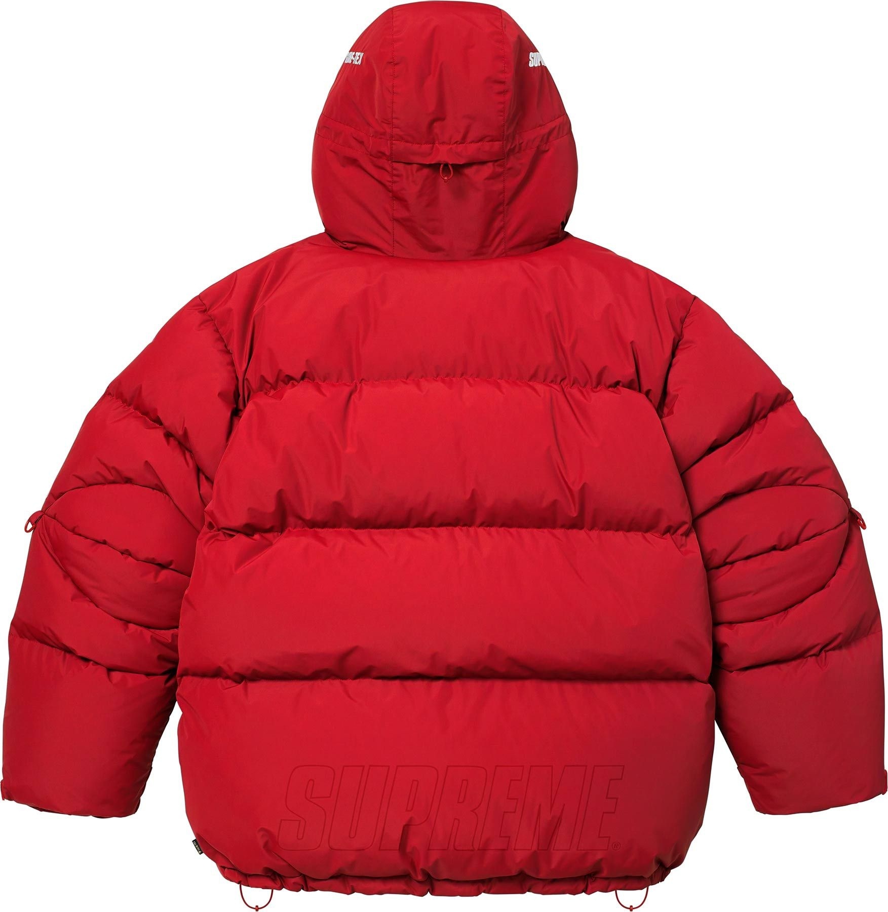 GORE-TEX 900-Fill Down Parka view 2